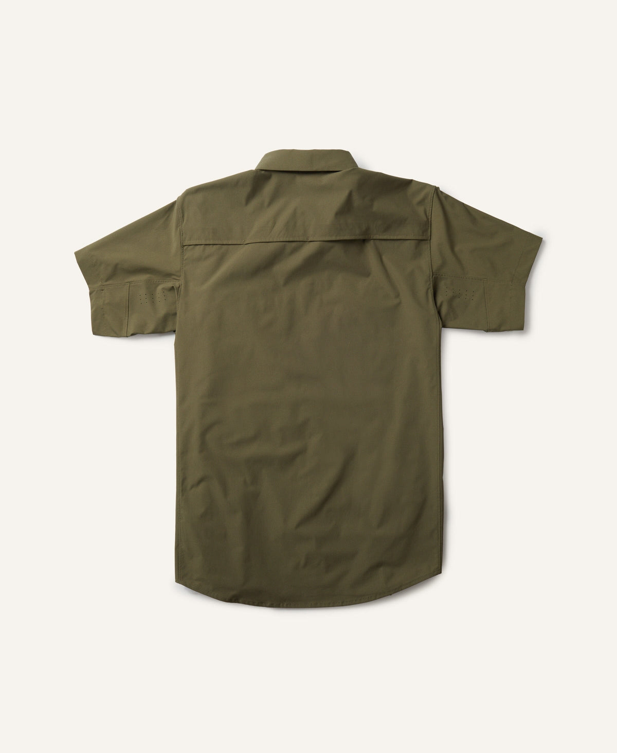 #color_olive